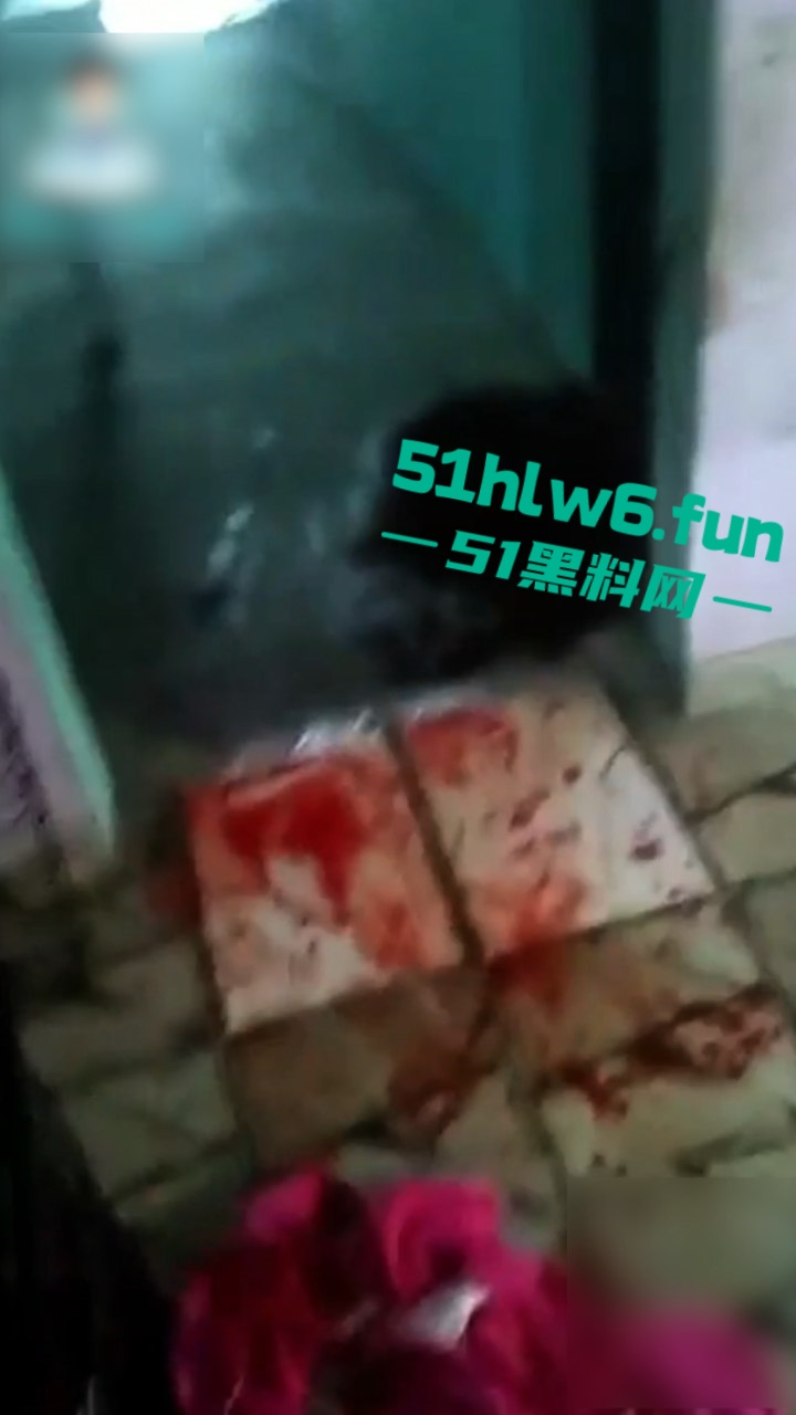 现场图片1