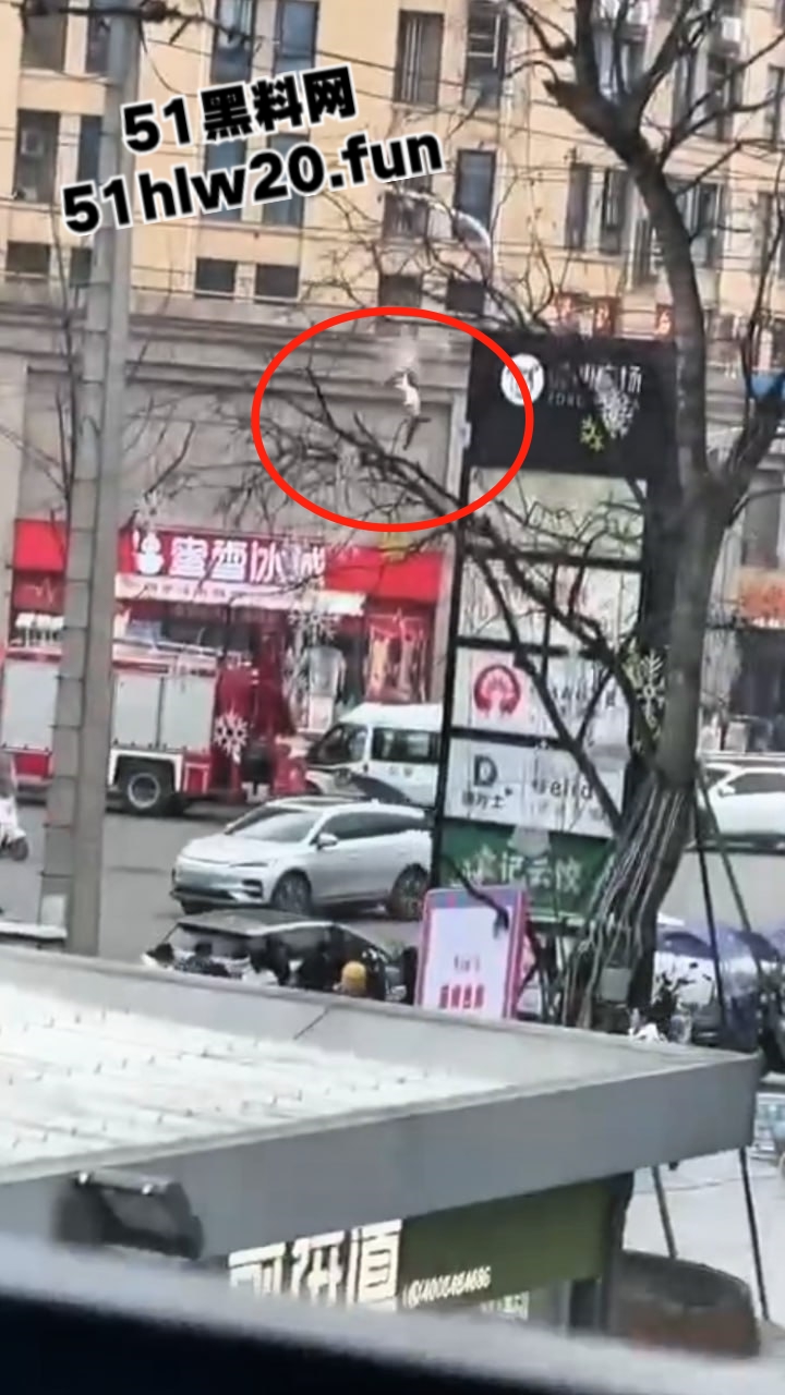 现场图片1