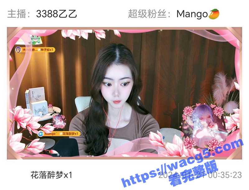网易CC3388乙乙相关图片